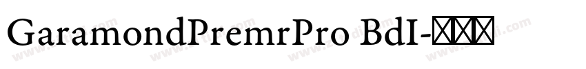 GaramondPremrPro BdI字体转换
